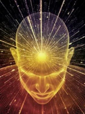 Consciousness