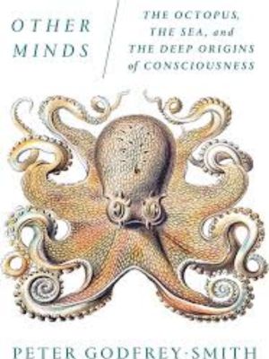 Consciousness